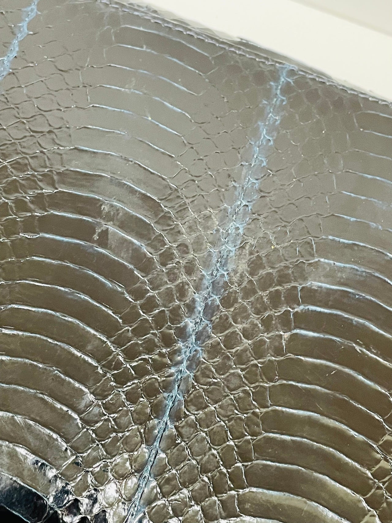 Black and Blue Snakeskin Purse from Sutton Plaza Devil's Details 