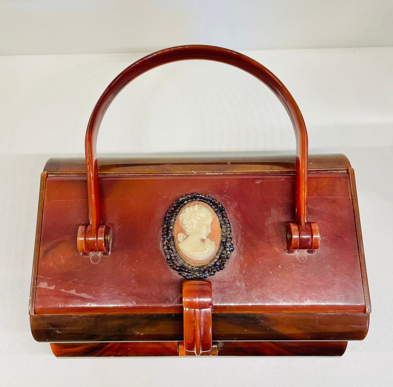 Brown Lucite Double Compartment Cameo Purse Purse Bloomers and Frocks 