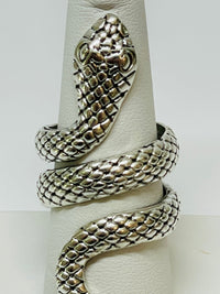 Thumbnail for Large Silvertone Snake Ring Devil's Details 