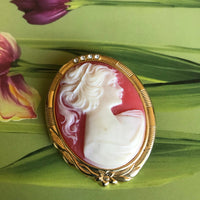 Thumbnail for Cameo Brooch Jewelry Bloomers and Frocks 